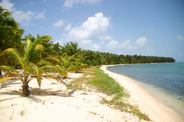 beach at half moon caye off belize