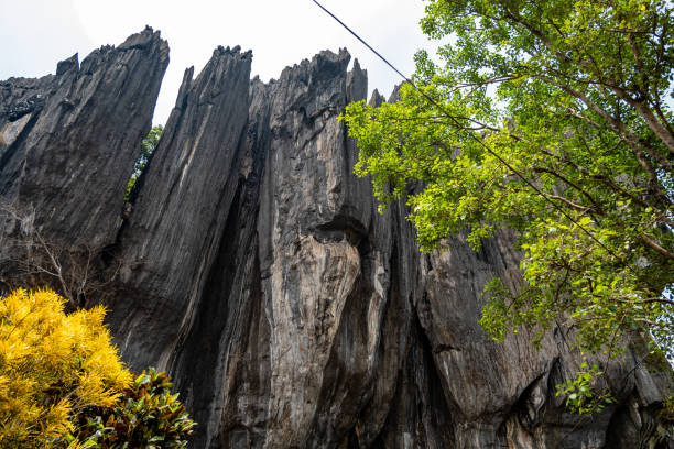 istockphoto 2155631404 612x612