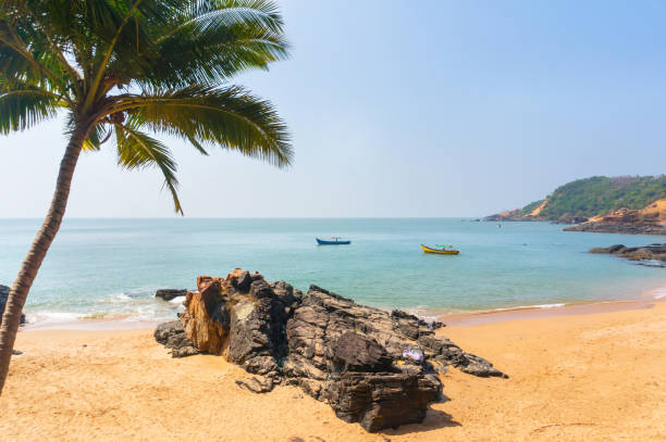 istockphoto 654960130 612x612